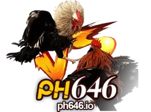 PH646
